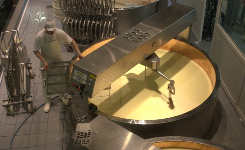 large cheese mixing machine